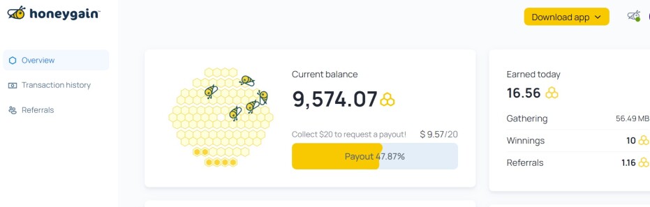 Honeygain Income