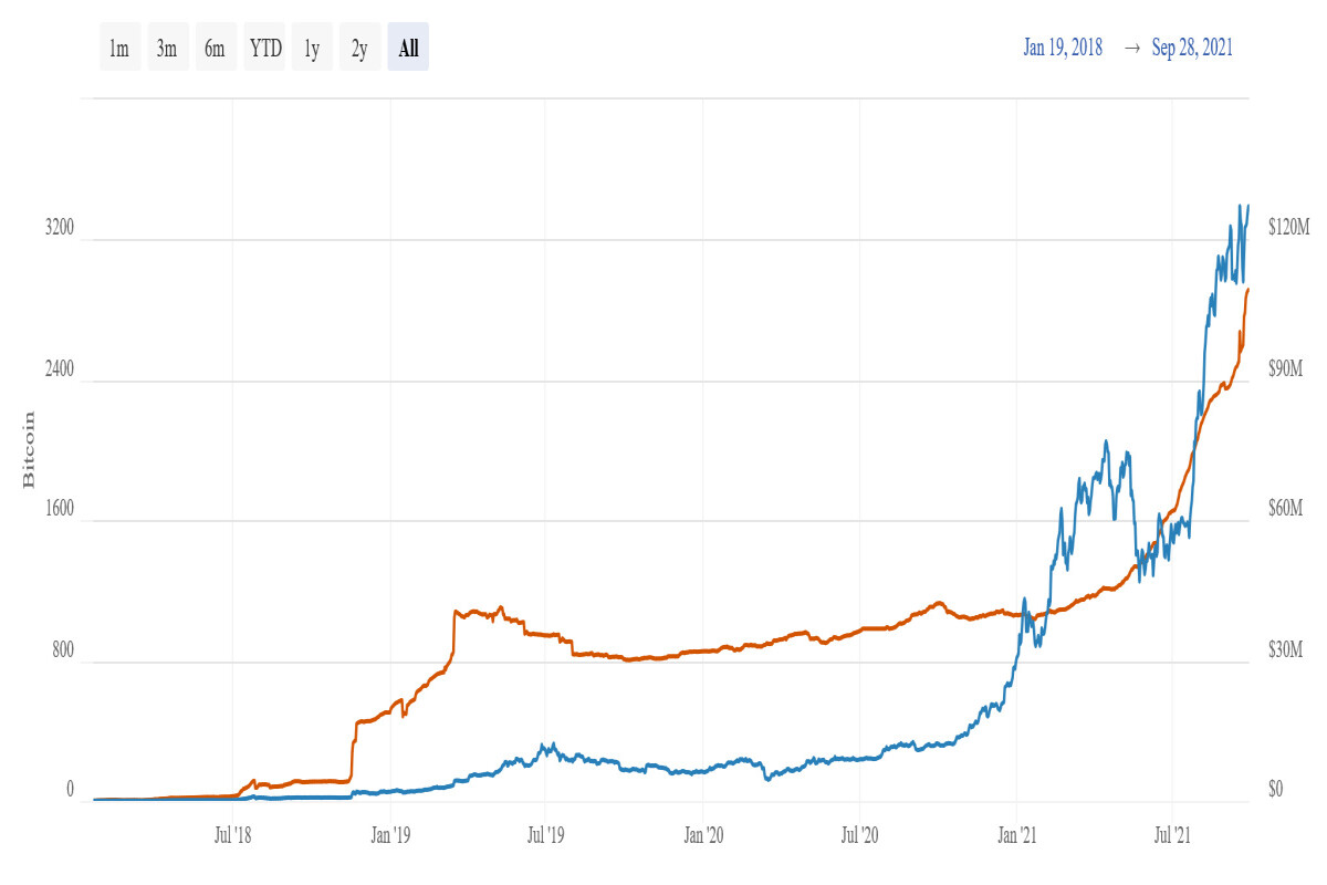 bitcoin lightning network