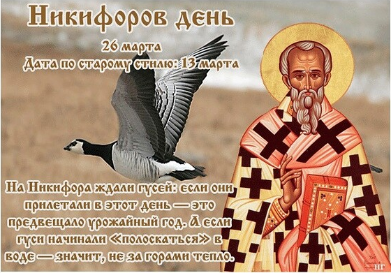 f876be6baa408e2e6dda57eef7cacc384629c514fe116cef97be17957446ca4e.png