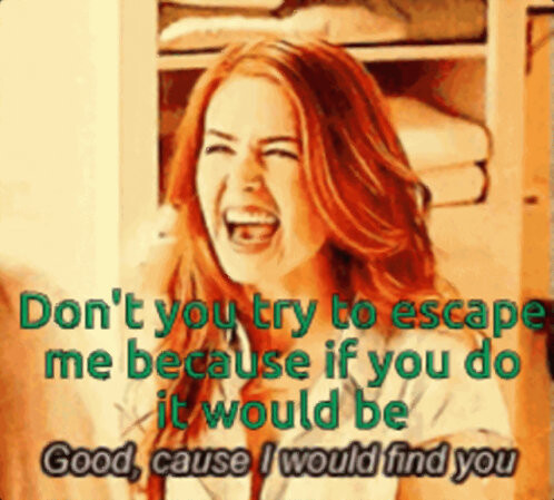 Isla Fisher in Wedding Crashers: I would find you!
