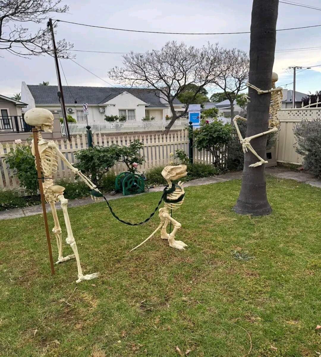 Halloween decorations