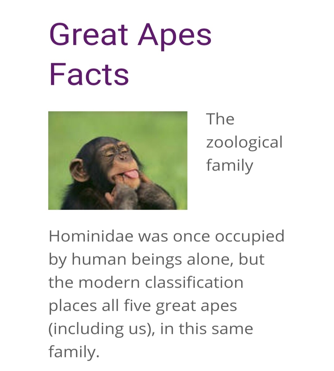 Great Apes Fact