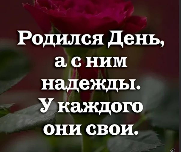 81a161acb55dd7114cbe17eaef05977f42627621ddef12c914db12a65d6f0567.png