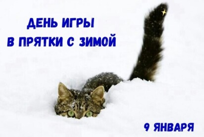 8c92756a00fa0e578b0887cf2192c688bace9a474383c018d58894237f3f7154.jpg