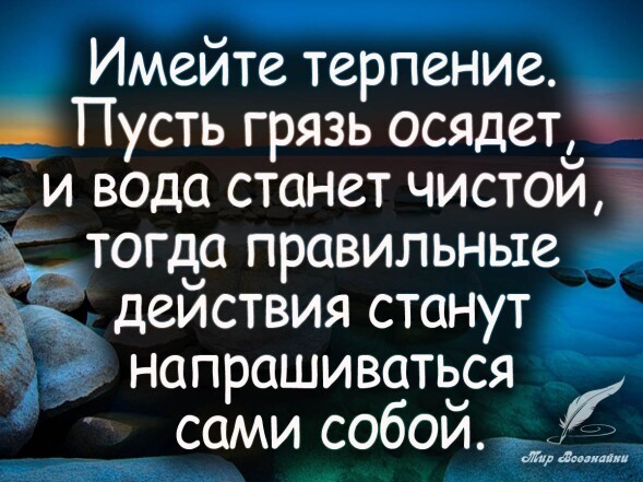 8859778504c1af7f4c95cad0328657e6a5d31e24d9e675a461716bf776bb6195.jpg