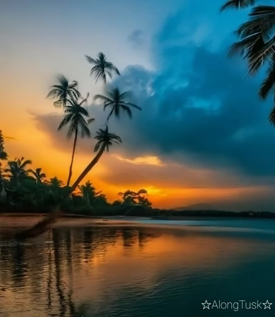 Goa by Along Tusk