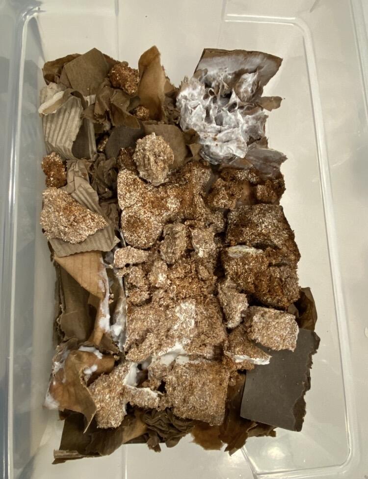 Storage Bin