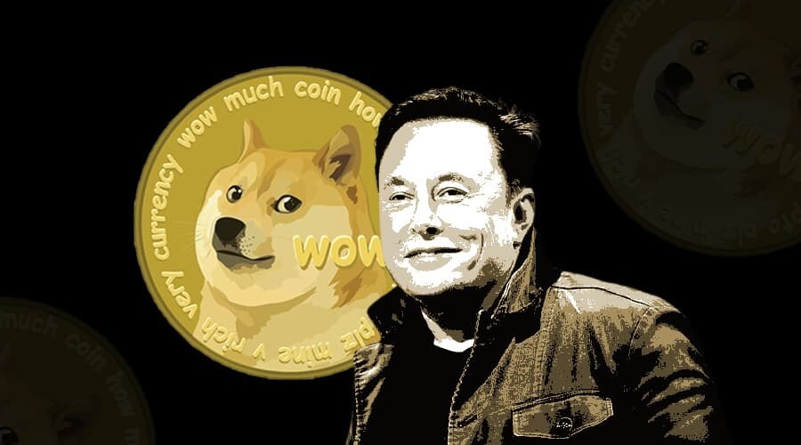 Why Are There So Many Doge Coins? | CoinChanger