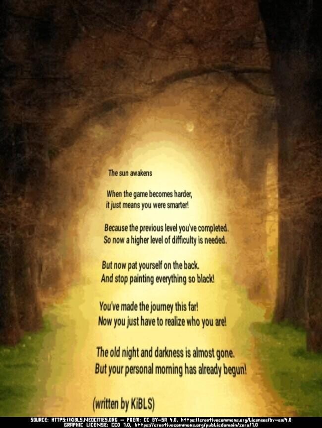 The sun awakens