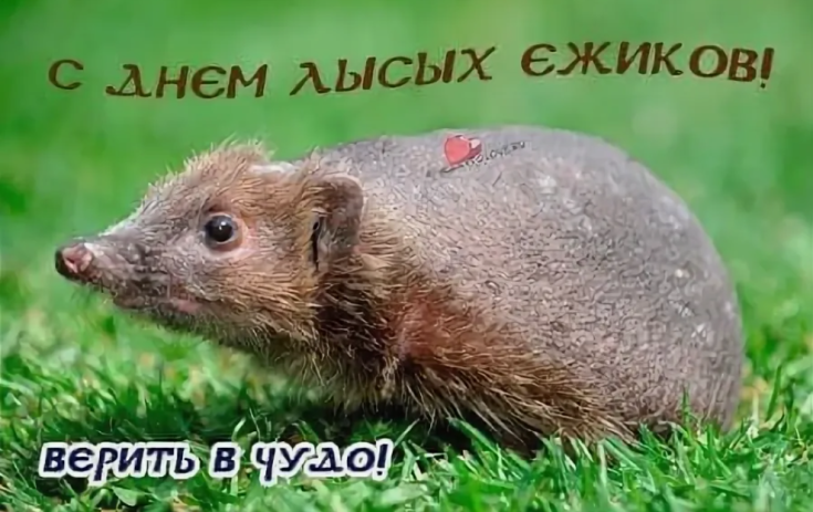 824475e1e85b4643f5fbda1b52100a8ec46e0ede50f2cd9efac6b85bb36ebc42.png