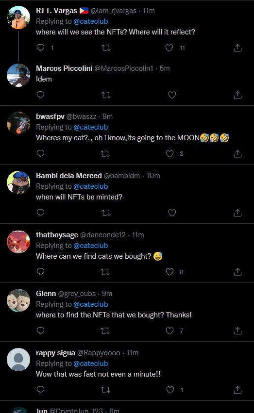 buyers are flocking to twitter to demand to see their cats!