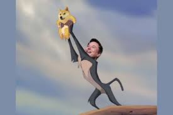 ELON MUSK- DOGE<3