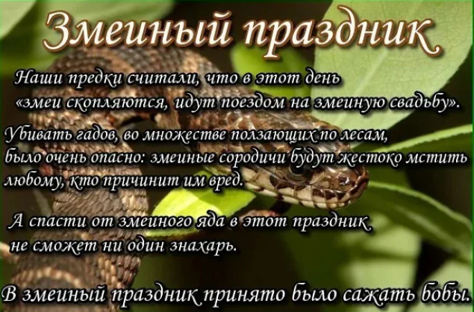 f9ae8a04a38d69a8a0e21bc8e1c95e92595cf86bfa01b9ca0dc2bb820013dceb.png