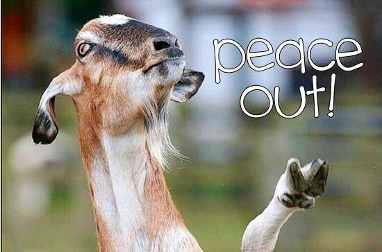 peace out goat image