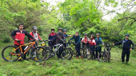 The Story of Getting Lost in The Forest…