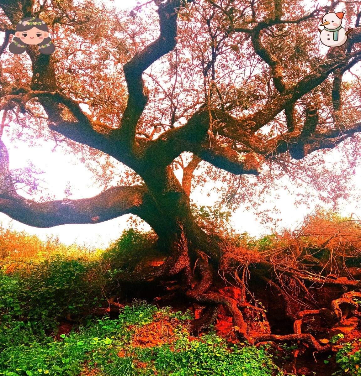 b9b1246f9e12fd5f0294c8588ea74f50f30d51bad4cc063aa2b77c577357ad5b.jpg