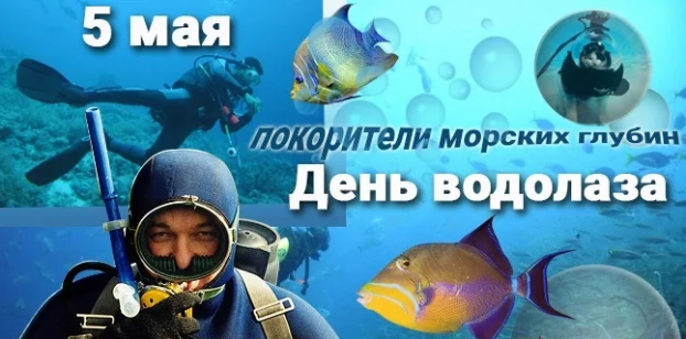 bbc7985404ad3a7c230300975eadf1d625d7a0cc2d3e854e3368e00952e6069b.png