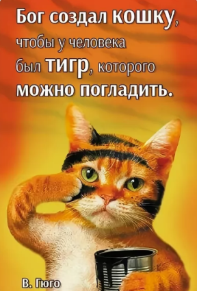 0dd7e8800550932554bef7ff92fc6fe2923308413366ff7dac3436a09279d127.png