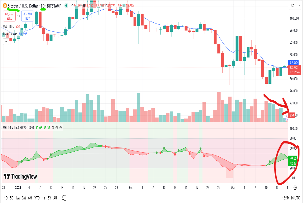 bitcoin daily chart