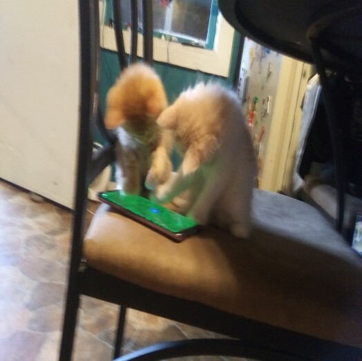 Oliver an Asia