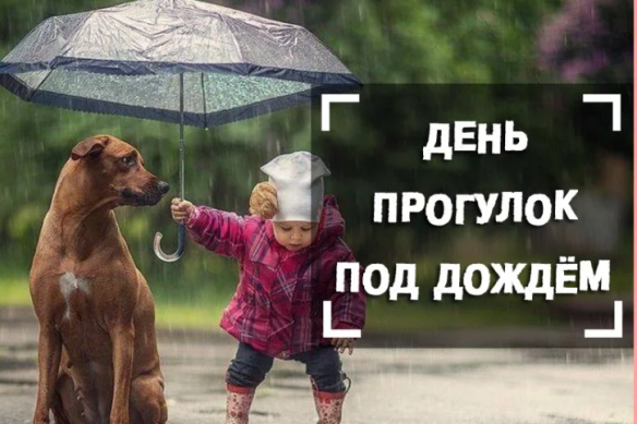 44f8fe881e4a97479fab0ca7c5cc46a8a2cff5a805c43e8c9e1b6c20adba0397.png