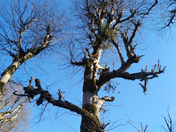 Dangerous Turns, Steep Route &amp; Gorgeous Nature Even in Winter