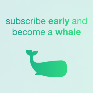 351665157-73f179197423be0b67eb9cc11b6efb79e1e4704b9b6eb0b405e15cfb03416d53.png