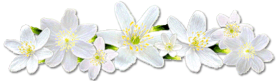 b2cca6e6dbd63a57aa7c7032c934de723bcb0d5607679eb419171c2bf1fca3a0.png
