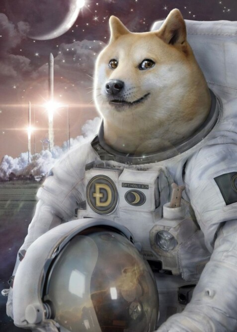 Space Doge