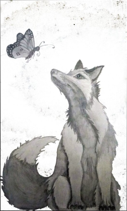 The Silver Fox