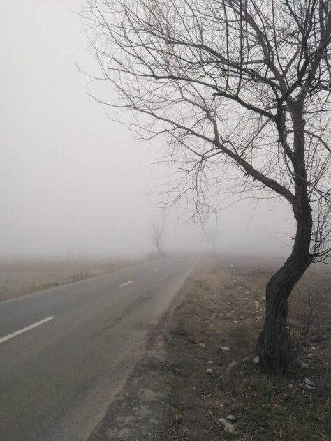 Riding in the Fog, Once Again, An Invisible Adventure