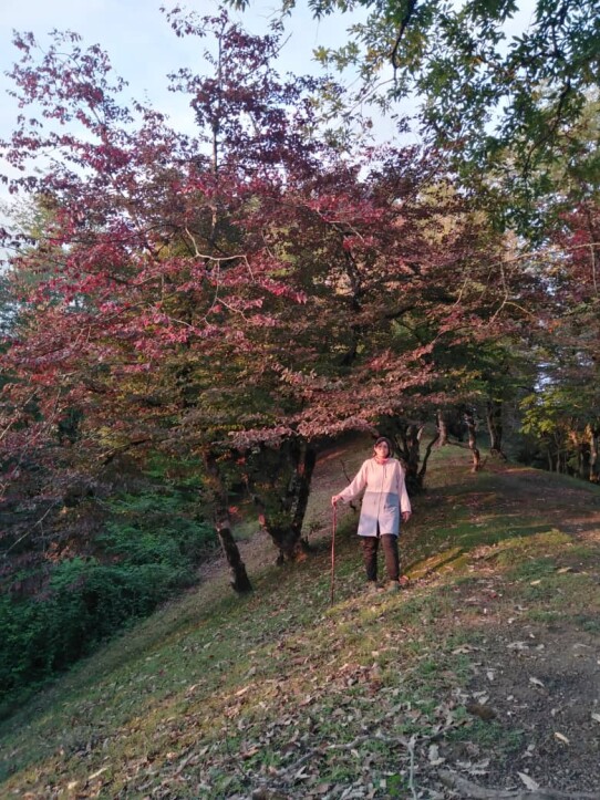 Autumn, My Favorite Season | A Hike Before Sunset