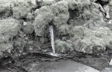 9caed7489ee79a6549f72ab5c16cfcebbcd1736792032bb259d8346938352b31.jpg