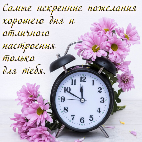 e8873dd34358ec3d5a0c4f32d0e3e954fb021a80424dd0d7c12f4e0ac13c5801.jpg