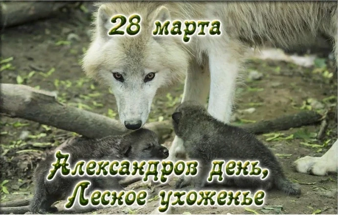 56421359e24b038a64914edc86c1075d222a81f5f73b6e12ef062a5b71f7e183.jpg