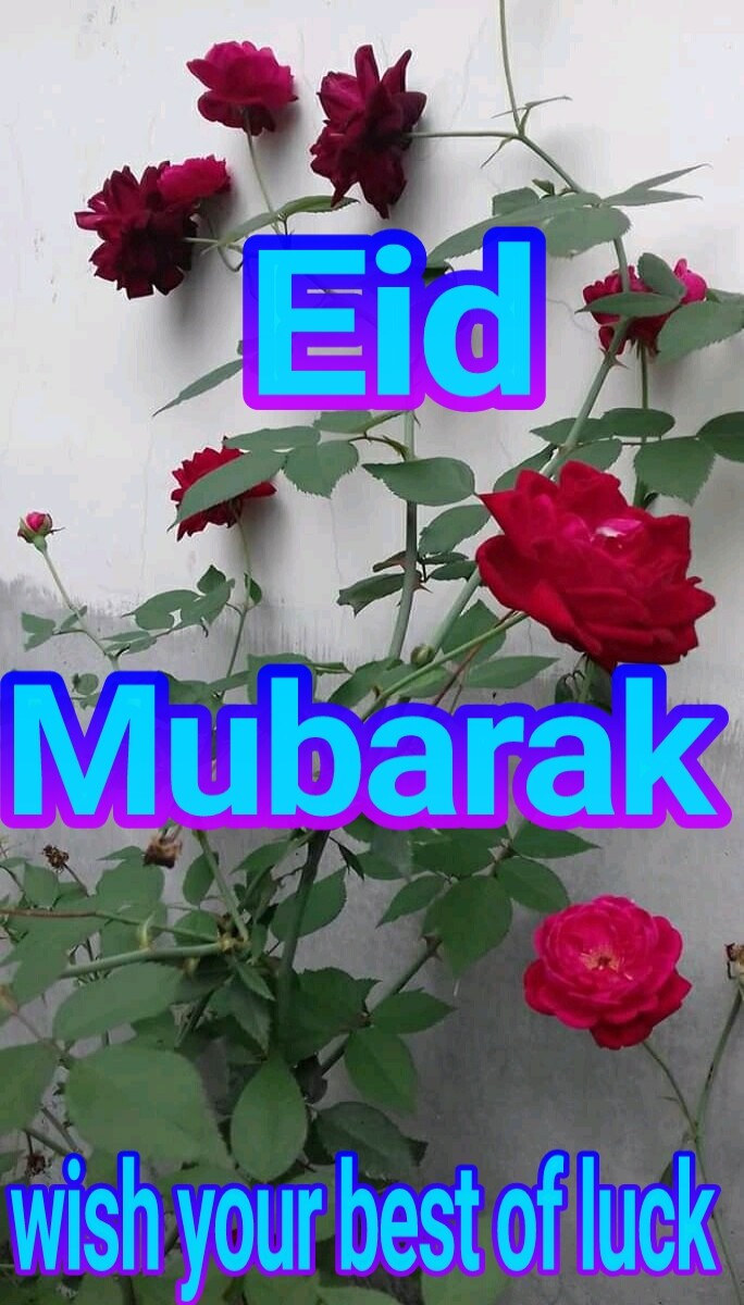 46a61300e6fec512d048d9f1068dbae34fd8294cb163ecde5319a77b4109aef8.jpeg