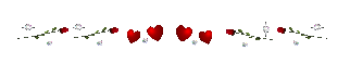 5a655d93daf90027c89e0f2e325e77e1028454574bb1f3c44b1baa4db936c3d3.gif