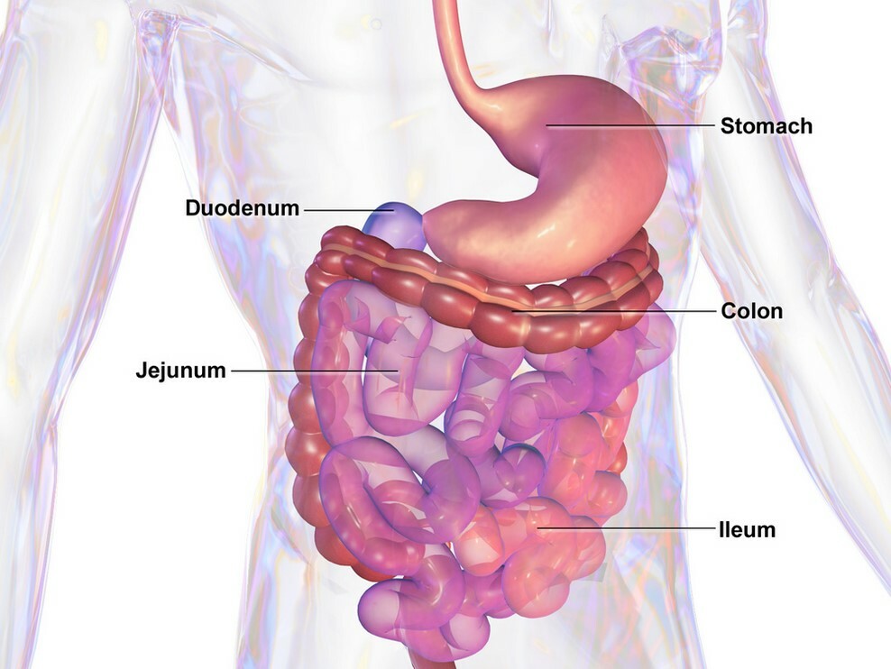 Dealing With an Upset Stomach