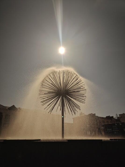 Shot through sunglasses