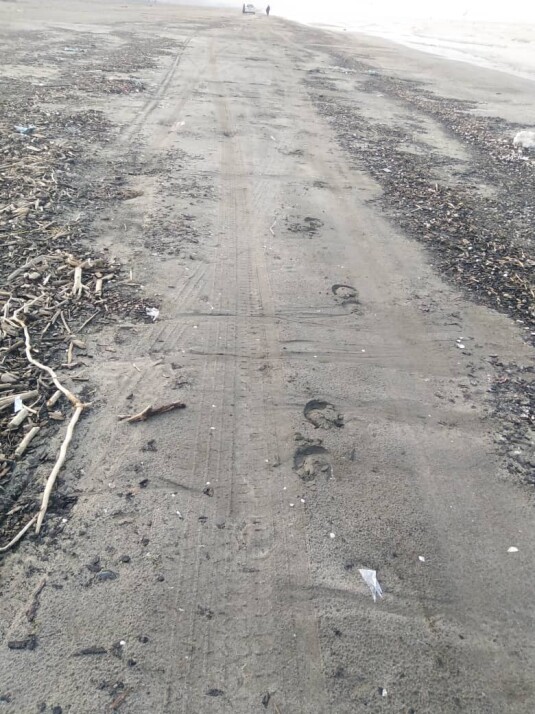 Discovering Mysterious Footprints While Running on The Beach