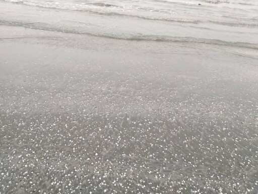 Discovering Mysterious Footprints While Running on The Beach