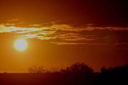 Sunrise Gratitude