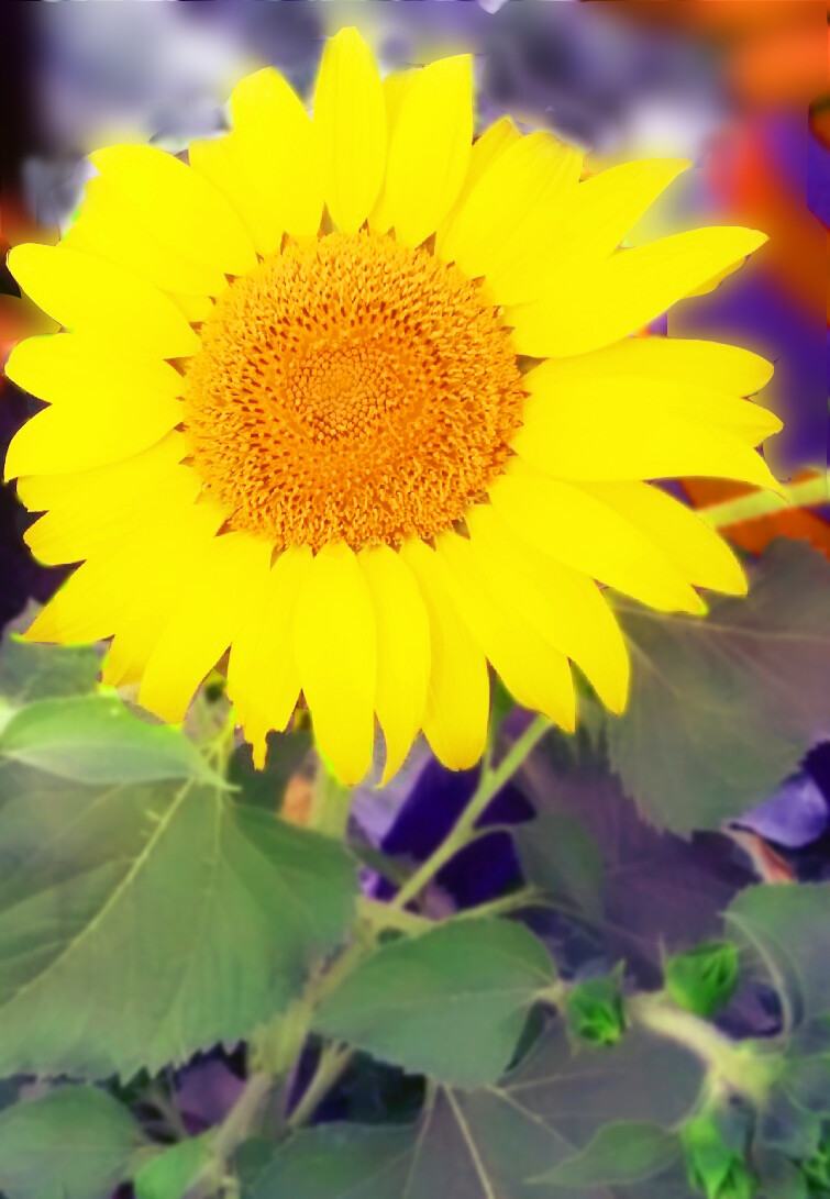 033638b542188e580c93955603d5ed2869ce897a1bde51081bbfd3cf99d496e2.jpeg
