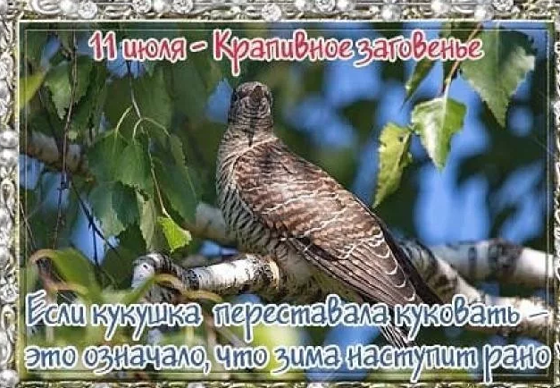 3393b7b4e38ba0ea5369a41997b2f62ebe95fd3d53d8bbf065635c9bd2e8d43d.png
