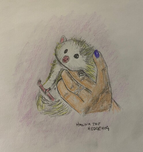 Hanna the Hegdgehog - colored pencil drawing