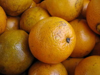 Oranges Hawaii Grown