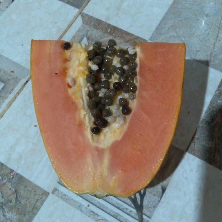 Buah pepaya