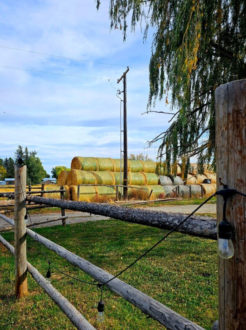 Idaho