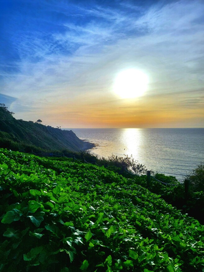 Pacific Ocean, California