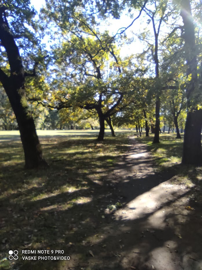 Beautiful autumn day